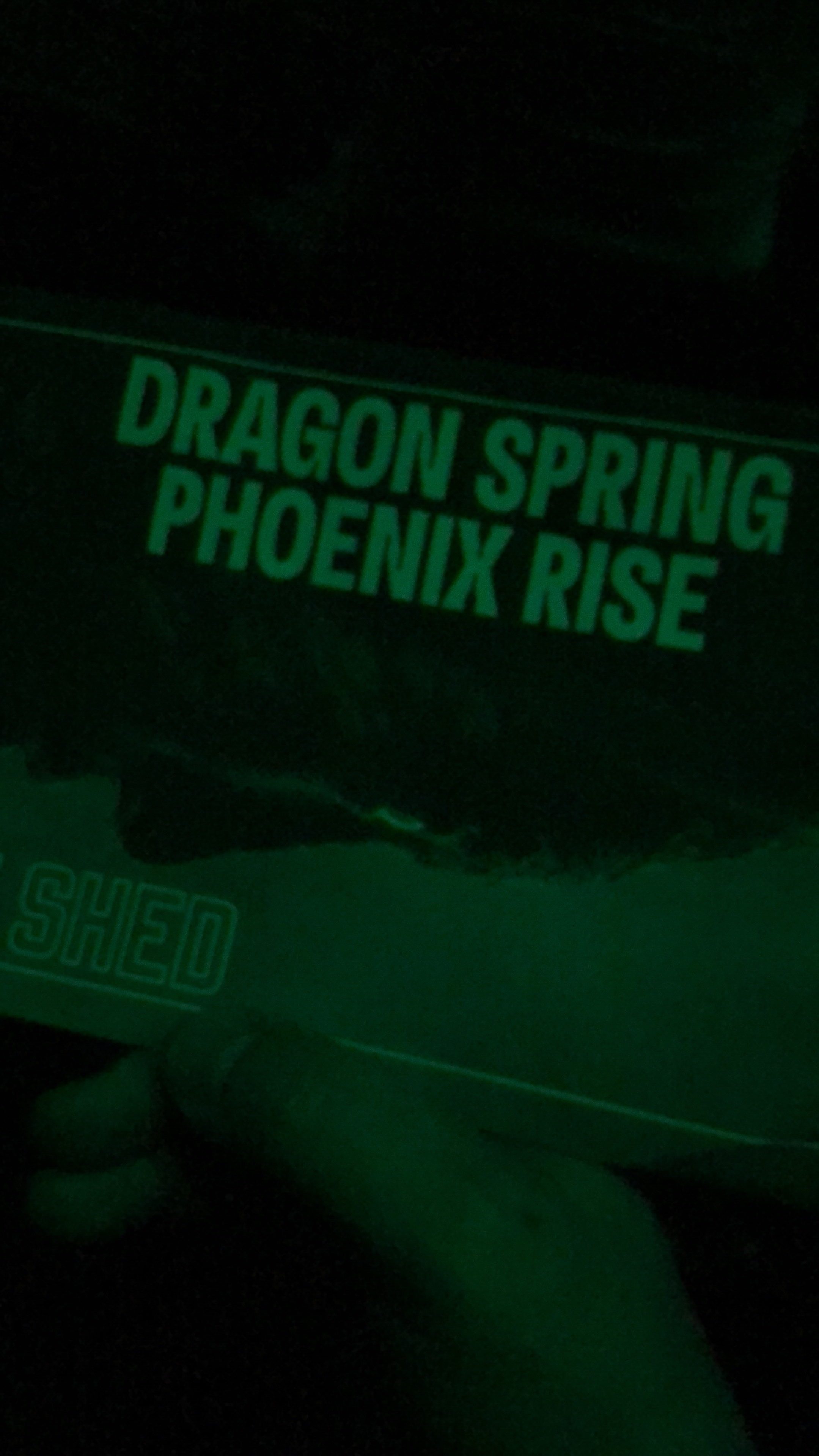dragon spring phoenix rise tickets